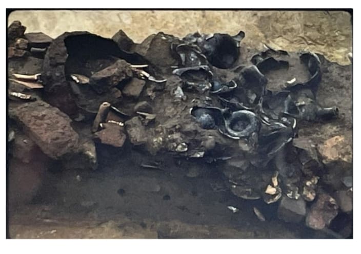 Figure 3 (Right) Detail of the main layer of the refuse from the pit, including a broken cauldron, wine bottles, bone, and more (Luccketti/JRI 1984).